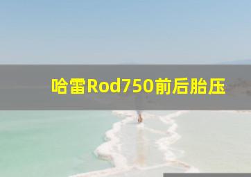 哈雷Rod750前后胎压