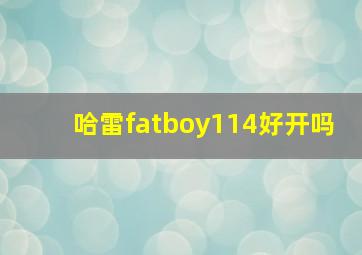 哈雷fatboy114好开吗