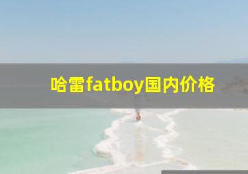 哈雷fatboy国内价格