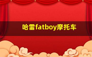 哈雷fatboy摩托车