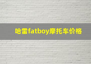 哈雷fatboy摩托车价格