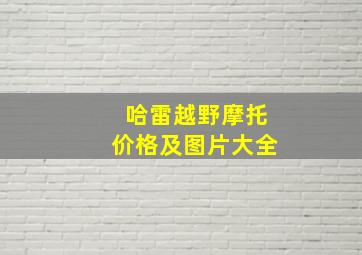 哈雷越野摩托价格及图片大全