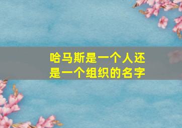 哈马斯是一个人还是一个组织的名字