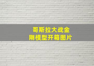 哥斯拉大战金刚模型开箱图片