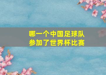 哪一个中国足球队参加了世界杯比赛