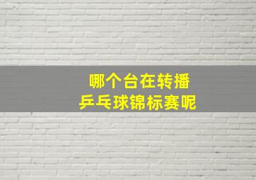 哪个台在转播乒乓球锦标赛呢