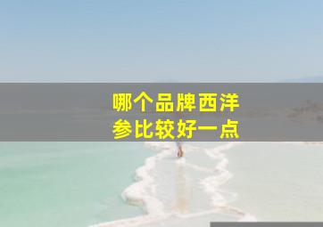 哪个品牌西洋参比较好一点