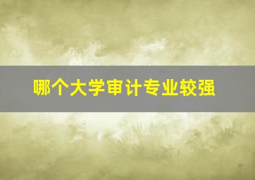 哪个大学审计专业较强