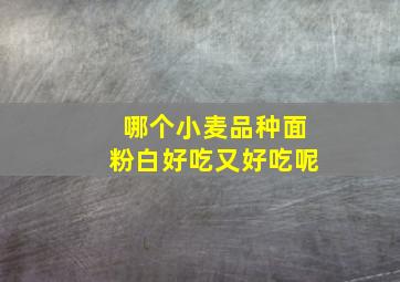 哪个小麦品种面粉白好吃又好吃呢