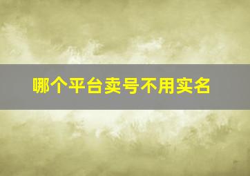 哪个平台卖号不用实名