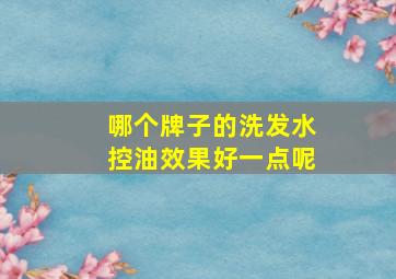 哪个牌子的洗发水控油效果好一点呢