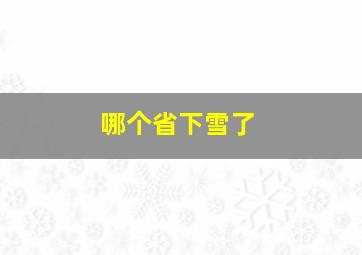 哪个省下雪了