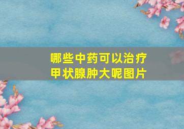 哪些中药可以治疗甲状腺肿大呢图片