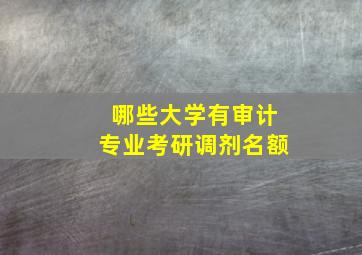 哪些大学有审计专业考研调剂名额