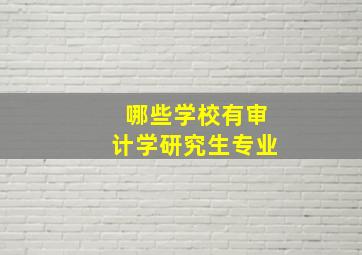 哪些学校有审计学研究生专业