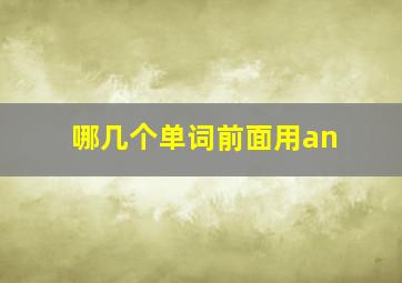 哪几个单词前面用an