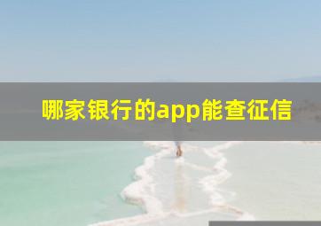 哪家银行的app能查征信