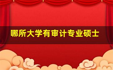 哪所大学有审计专业硕士