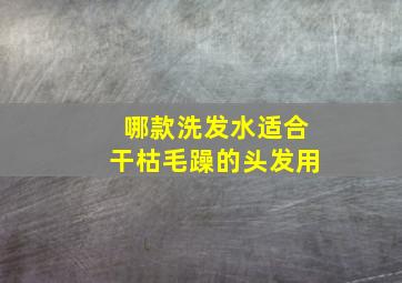 哪款洗发水适合干枯毛躁的头发用