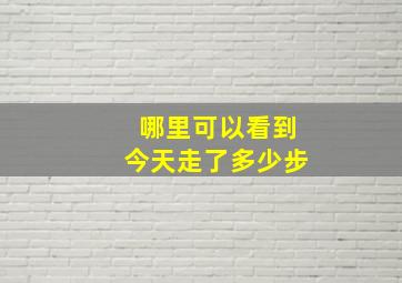 哪里可以看到今天走了多少步