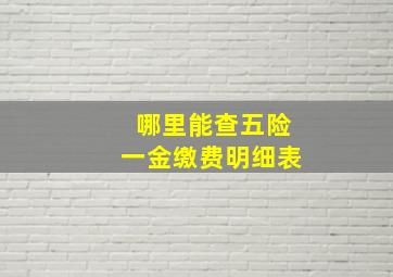 哪里能查五险一金缴费明细表