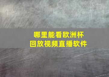 哪里能看欧洲杯回放视频直播软件