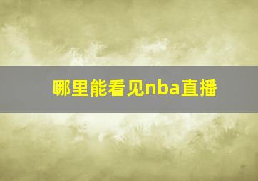 哪里能看见nba直播