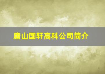 唐山国轩高科公司简介