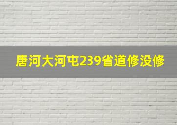 唐河大河屯239省道修没修