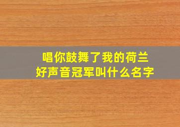 唱你鼓舞了我的荷兰好声音冠军叫什么名字