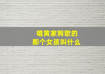 唱黄家驹歌的那个女孩叫什么