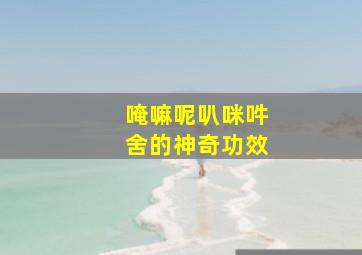 唵嘛呢叭咪吽舍的神奇功效