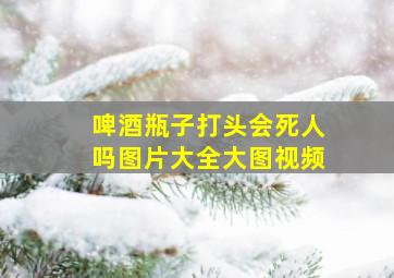 啤酒瓶子打头会死人吗图片大全大图视频