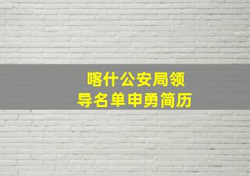 喀什公安局领导名单申勇简历