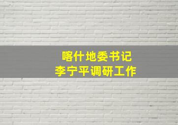 喀什地委书记李宁平调研工作