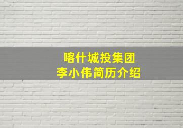 喀什城投集团李小伟简历介绍