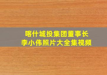 喀什城投集团董事长李小伟照片大全集视频