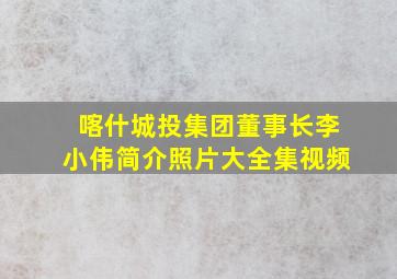 喀什城投集团董事长李小伟简介照片大全集视频