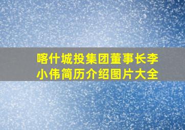 喀什城投集团董事长李小伟简历介绍图片大全