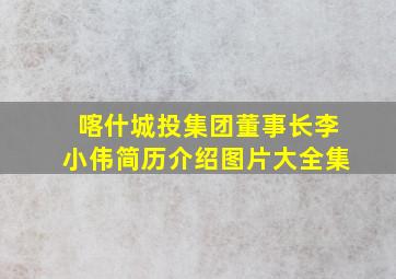 喀什城投集团董事长李小伟简历介绍图片大全集