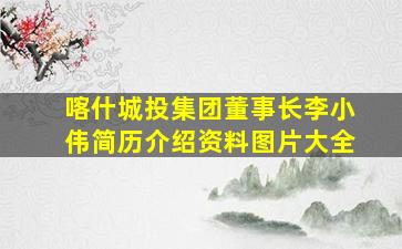 喀什城投集团董事长李小伟简历介绍资料图片大全