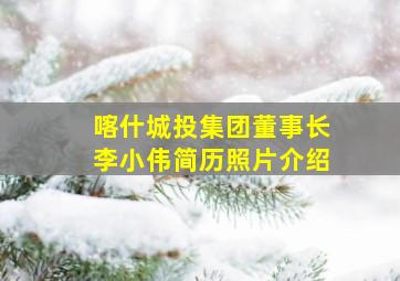 喀什城投集团董事长李小伟简历照片介绍