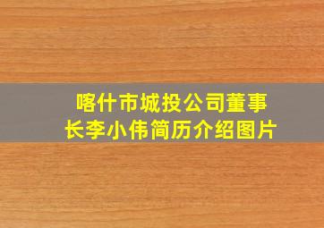 喀什市城投公司董事长李小伟简历介绍图片