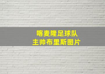 喀麦隆足球队主帅布里斯图片