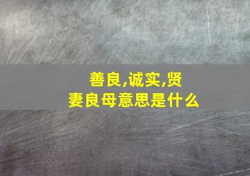 善良,诚实,贤妻良母意思是什么