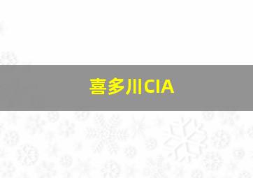 喜多川CIA