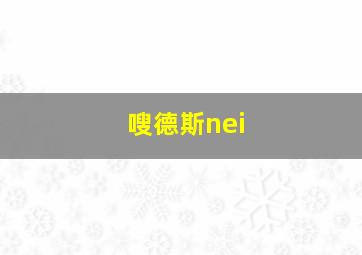 嗖德斯nei