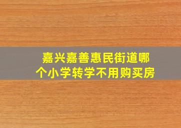 嘉兴嘉善惠民街道哪个小学转学不用购买房