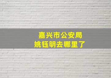 嘉兴市公安局姚钰明去哪里了