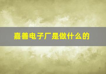 嘉善电子厂是做什么的